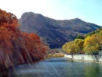 正版澳门天天开彩大全，丰田花冠论坛